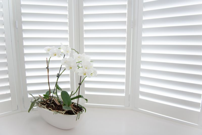 Shutters Replacement in Littleton, CO