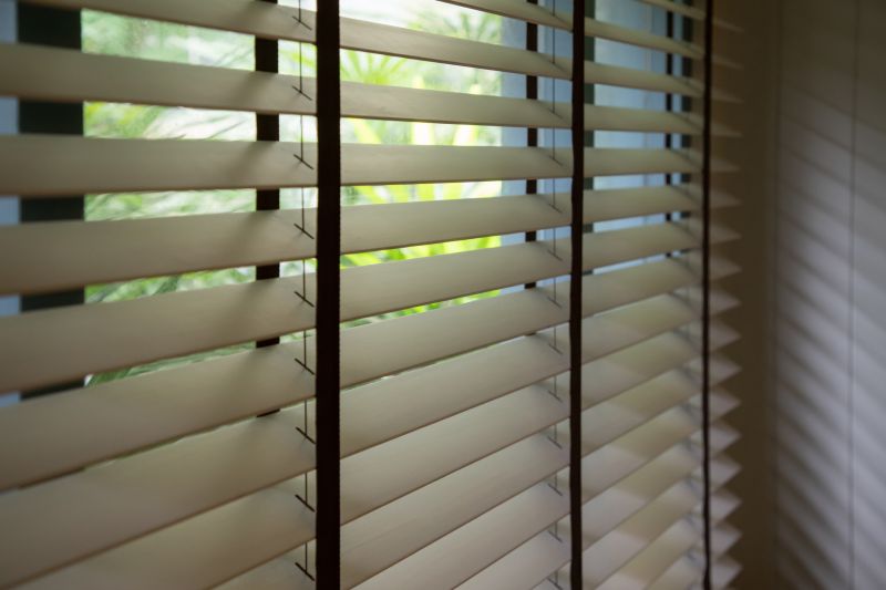 Venetian Blinds Cleaning in Billings, MT